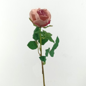 Rosa stelo cm.66 mauve