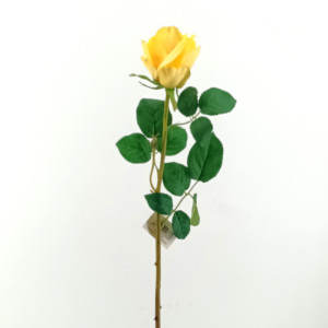 Rosa stelo cm.66 giallo
