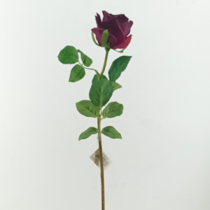 Rosa stelo cm.66 bordeaux