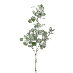 Eucaliptus ramo cm.84 ghiacciato