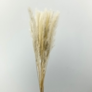 Piuma di seta cm.75 bianco (pz.20)