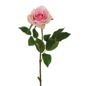 Rosa ecuador cm.65 pink-gr
