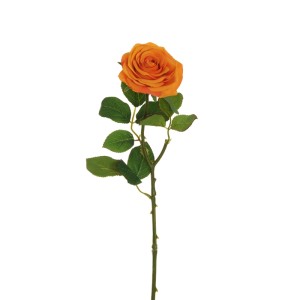Rosa ecuador cm.65 arancio