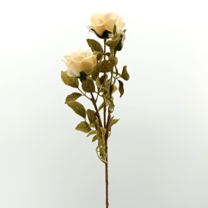 Rosa ramo cm.84 avorio