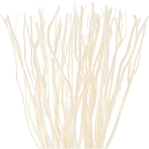 Curly willow cm. 160 (pz.25)