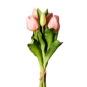 Tulipano bundle 5 fiori rosa
