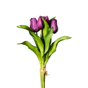 Tulipano bundle 5 fiori viola
