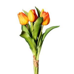 Tulipano bundle 5 fiori arancione