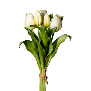 Tulipano bundle 5 fiori bianco
