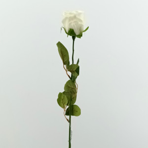 Rosa bocciolo cm.70 bianco