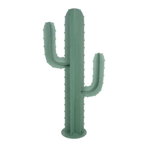 cactus h.79