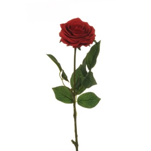 Rosa ecuador cm.65 rosso