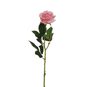 Rosa ecuador cm.65 rosa