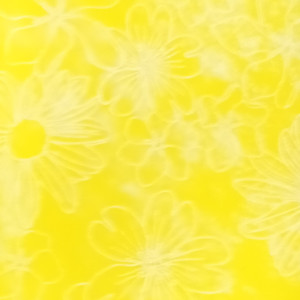 Bobina T 0,68x09 FIORITO POLYWEB giallo