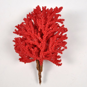 Corallo mazzo rosso cm.13 (pz.6)