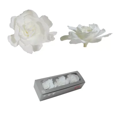 Gardenia preservata bianco (3 pz.)