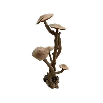 Fungo teak h.115 naturale
