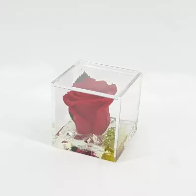 Rosa preserv.in cubo pvc 08 rosso
