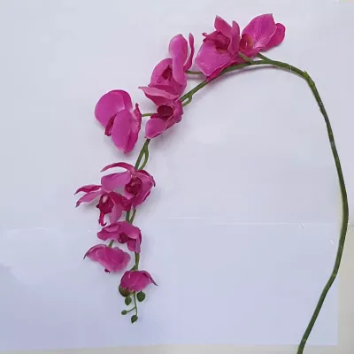 Phalaenopsis real ramo 10 fiori cm.125