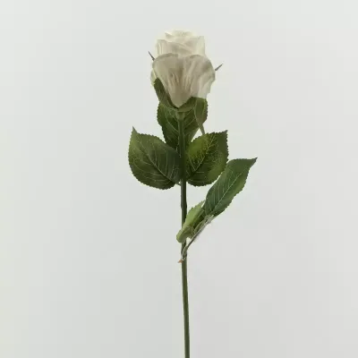 Rosa bocciolo  cm.50 bianco