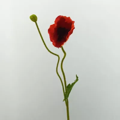 Papavero 2 fiori cm. 75 rosso