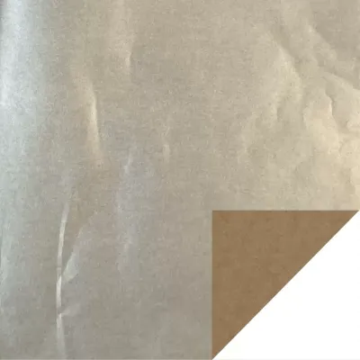 Bobina cw 0,75×20 polit.metal argento