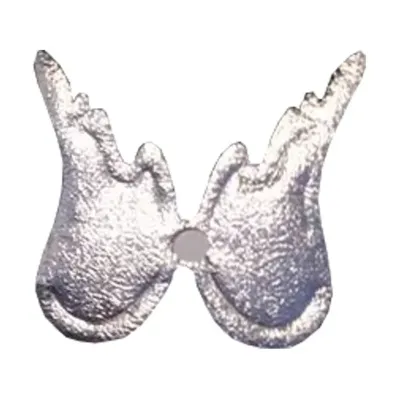 Ali angelo adesive stoffa (16 pz)