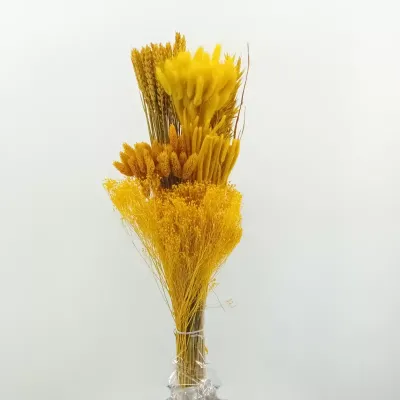 Erbe miste giallo mixed (gr.300)
