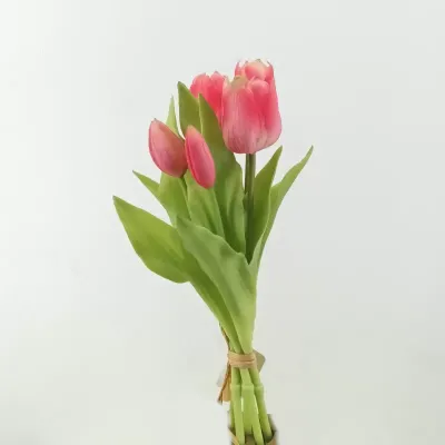 Tulipano bundle 5 fiori mauve