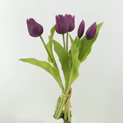 Tulipano bundle 5 fiori viola