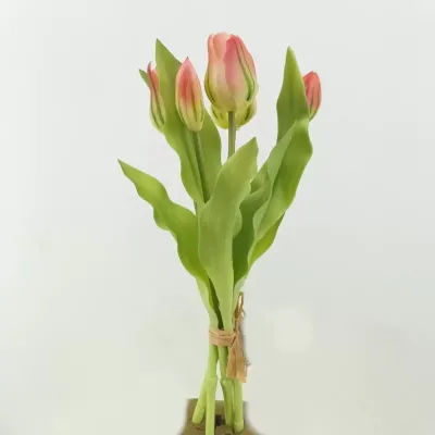 Tulipano bundle 5 fiori verde fucsoa