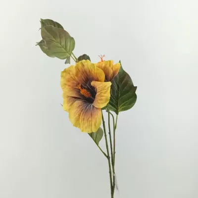 Ibiscus 2 fiori cm.70 giallo aut.