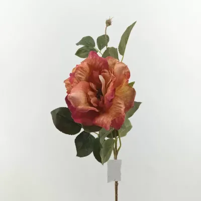 Rosa autunnale aperta cm.65 corallo