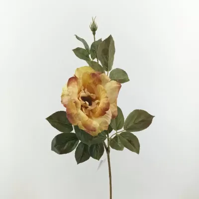 Rosa autunnale aperta cm.65 marrone chiaro