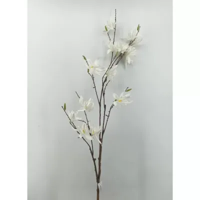 Magnolia japanese tralcio 4 rami cm. 113 bianco