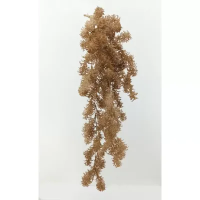 Cadente carrots 80cm vine marrone chiaro