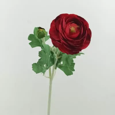Ranuncolo cm.50 rosso