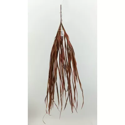 Orchid grass cm.90 arancione