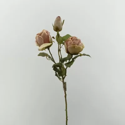 Rosa ramo cm.55 mauve