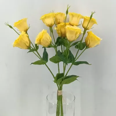 Lisiantus bundle x5 cm.70 giallo