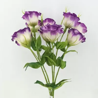 Lisiantus bundle x5 cm.70 lavanda