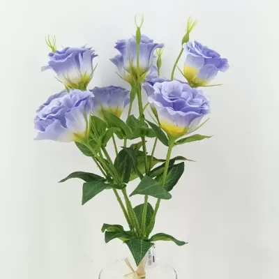 Lisiantus bundle x5 cm.70 lilla