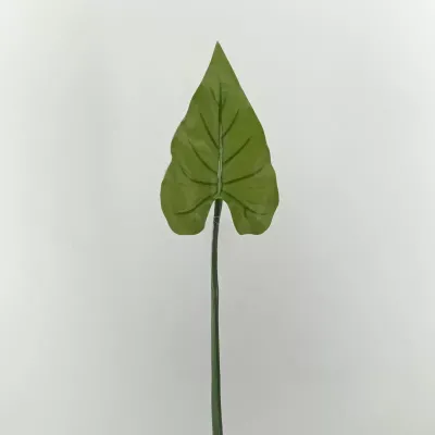 Calla foglia cm.80 verde