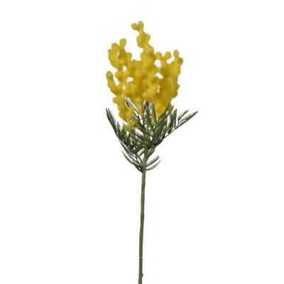Mimosa cm.38 giallo
