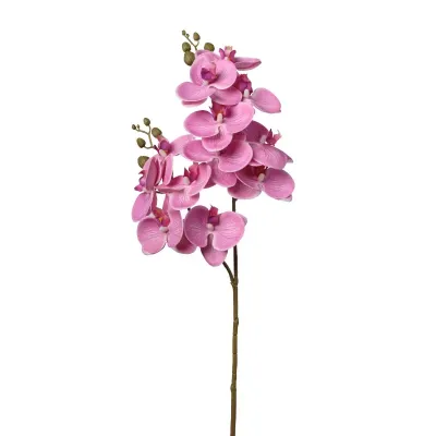 Phalaenopsis ramo cm.74 rosa