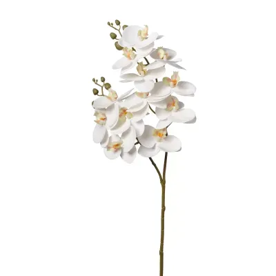 Phalaenopsis ramo cm.74 bianco