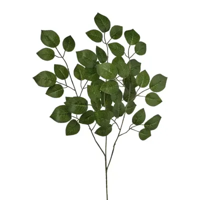 Rosa fogliaggio cm.60 verde