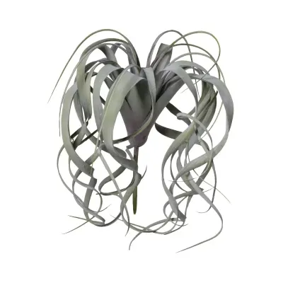 Tillandsia cm.30 verde floccato