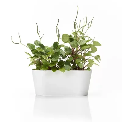 Vaschetta ovale pvc 28x13 bianco