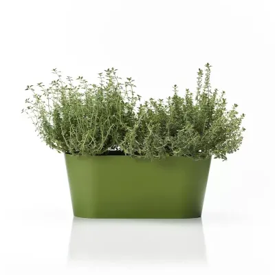 Vaschetta ovale pvc 28x13 verde